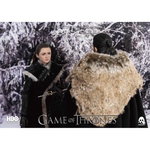 got_arya_wlogo_v2_0765