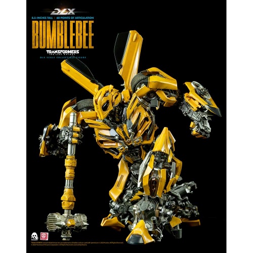 tf5_dlx_bumblebee_12