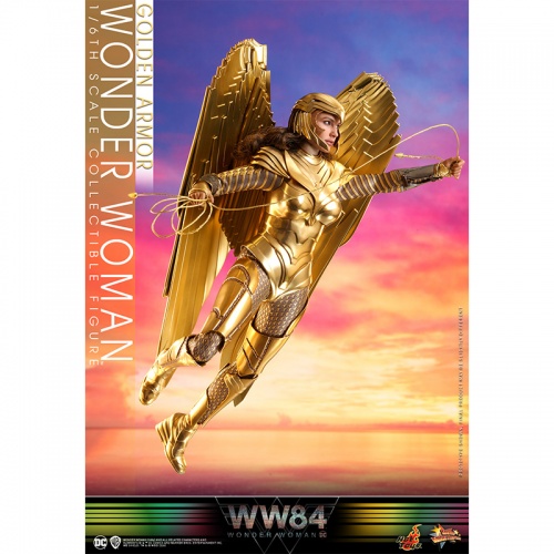 ww84-6_368618834